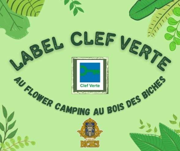 label clef verte