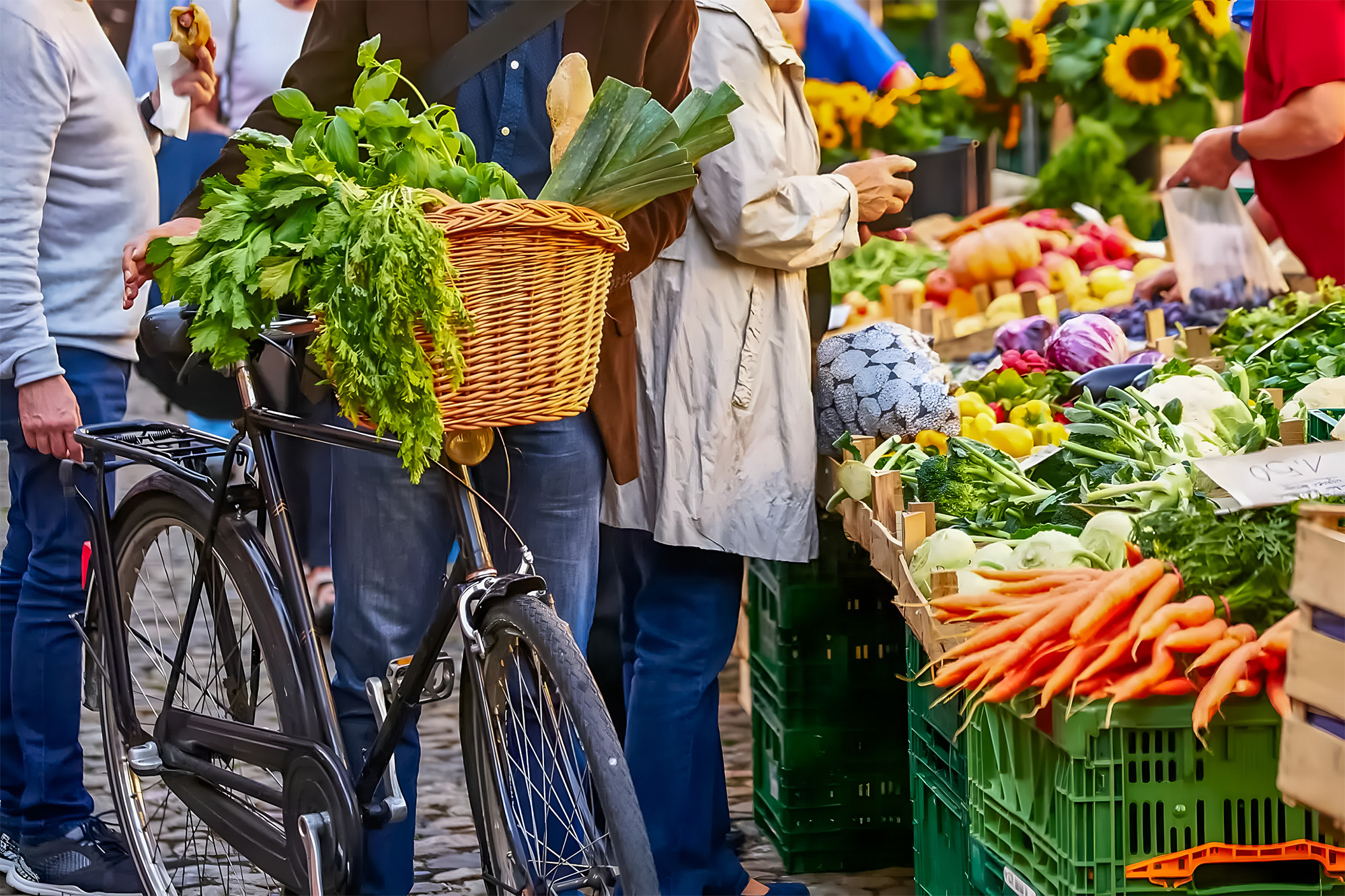 tourisme vendee marche saint hilaire de riez