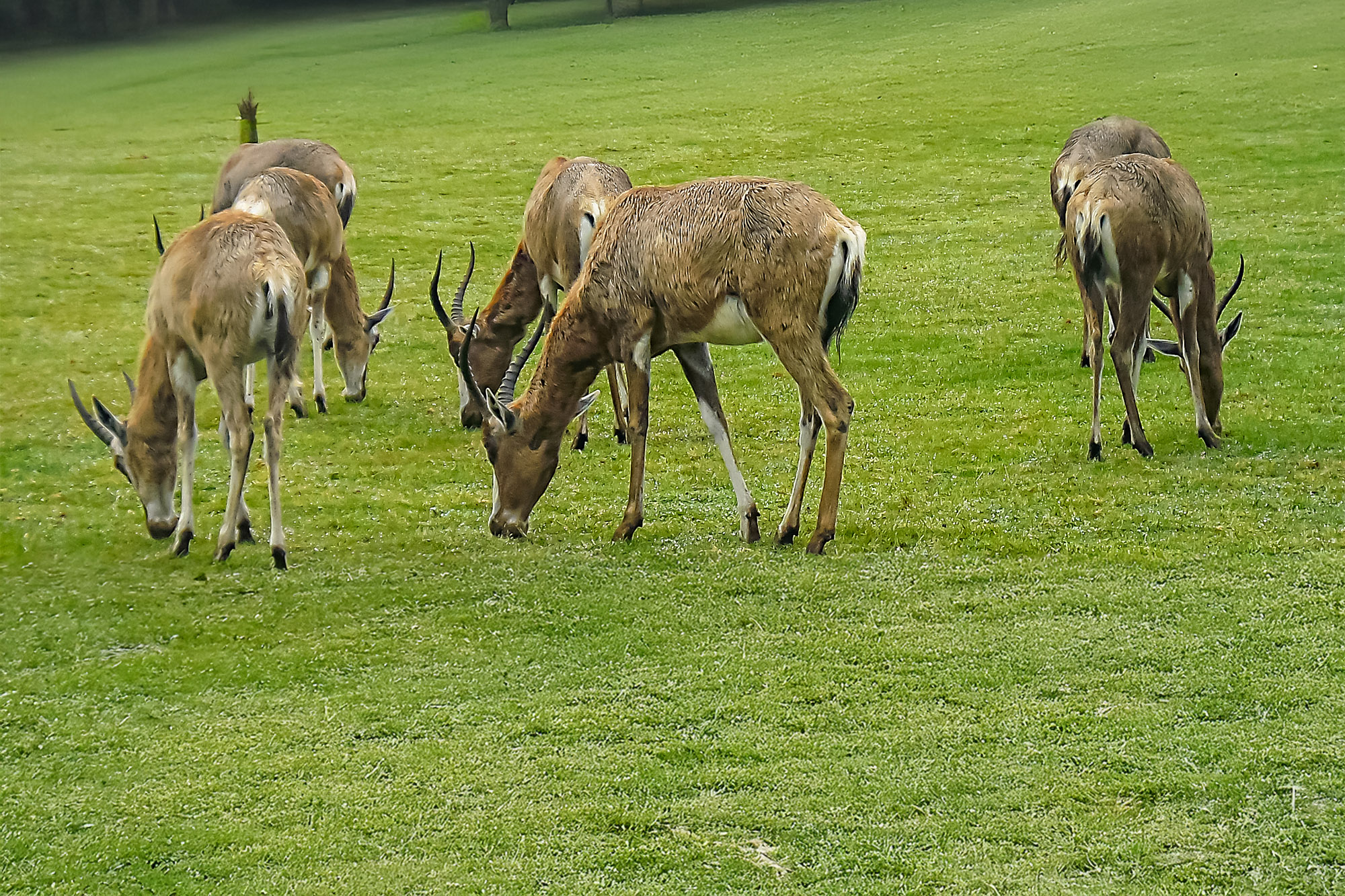 tourisme vendee planete sauvage zoo