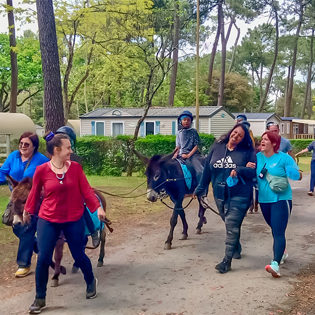 tourisme vendee activites a faire en vendee