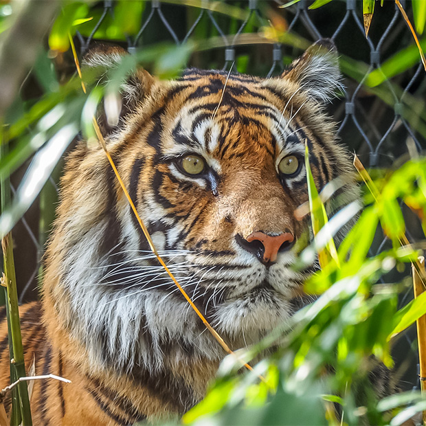 tourisme vendee zoos vendee