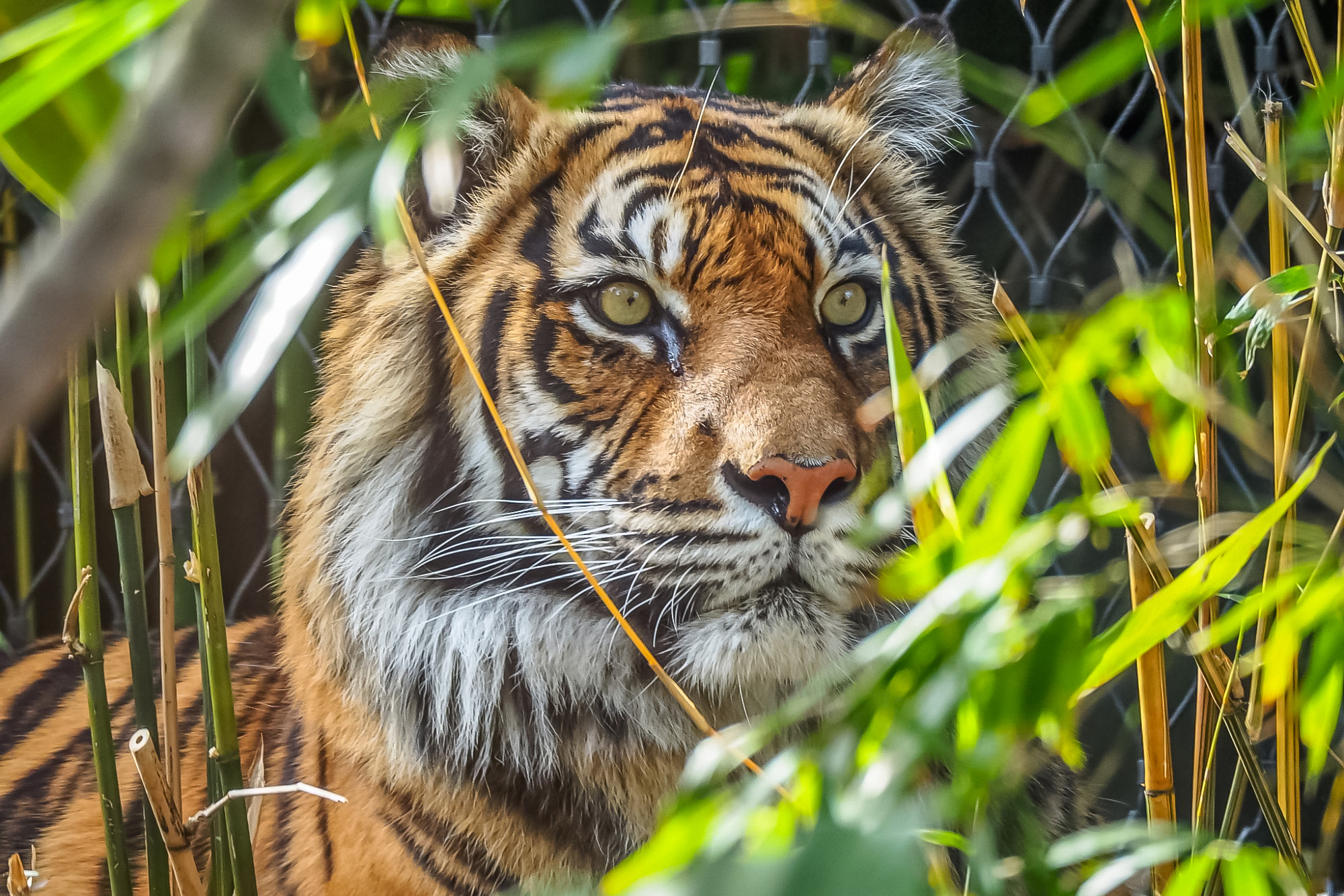 tourisme vendee zoos vendee
