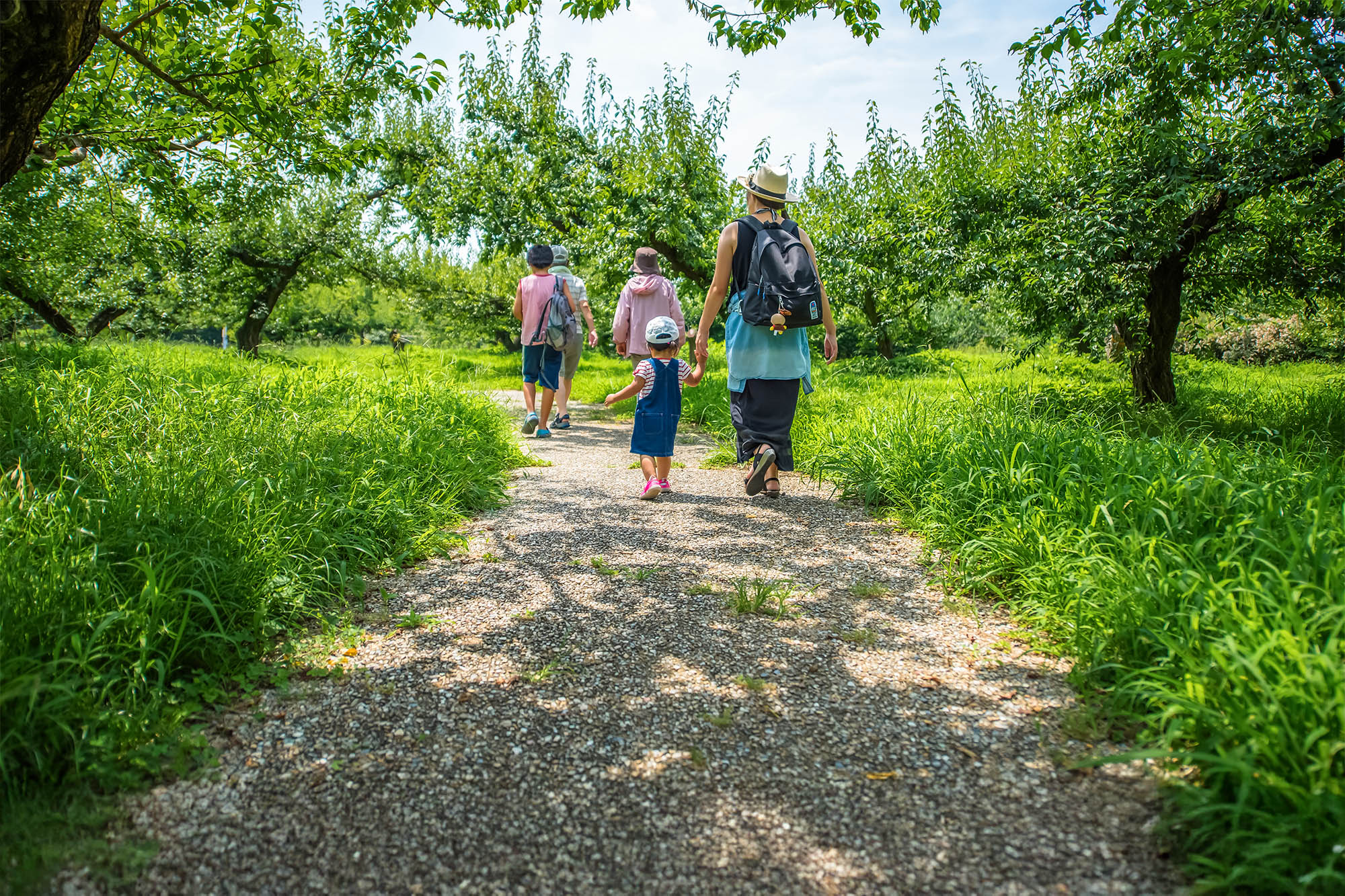 tourisme vendee top 5 randonnees vendee