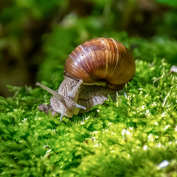 petites decouvertes grandes rencontres lexperience conviviale du flower camping les biches