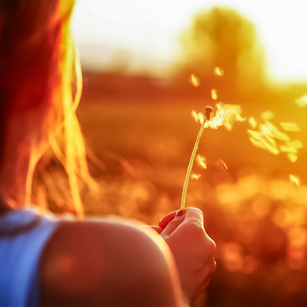 preservons ensemble notre environnement