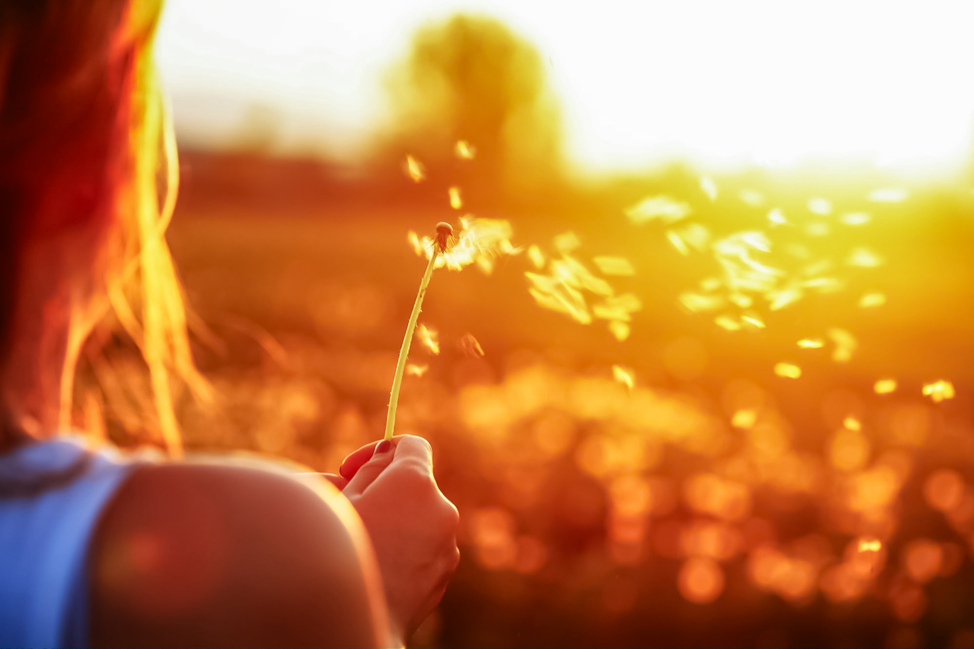 preservons ensemble notre environnement