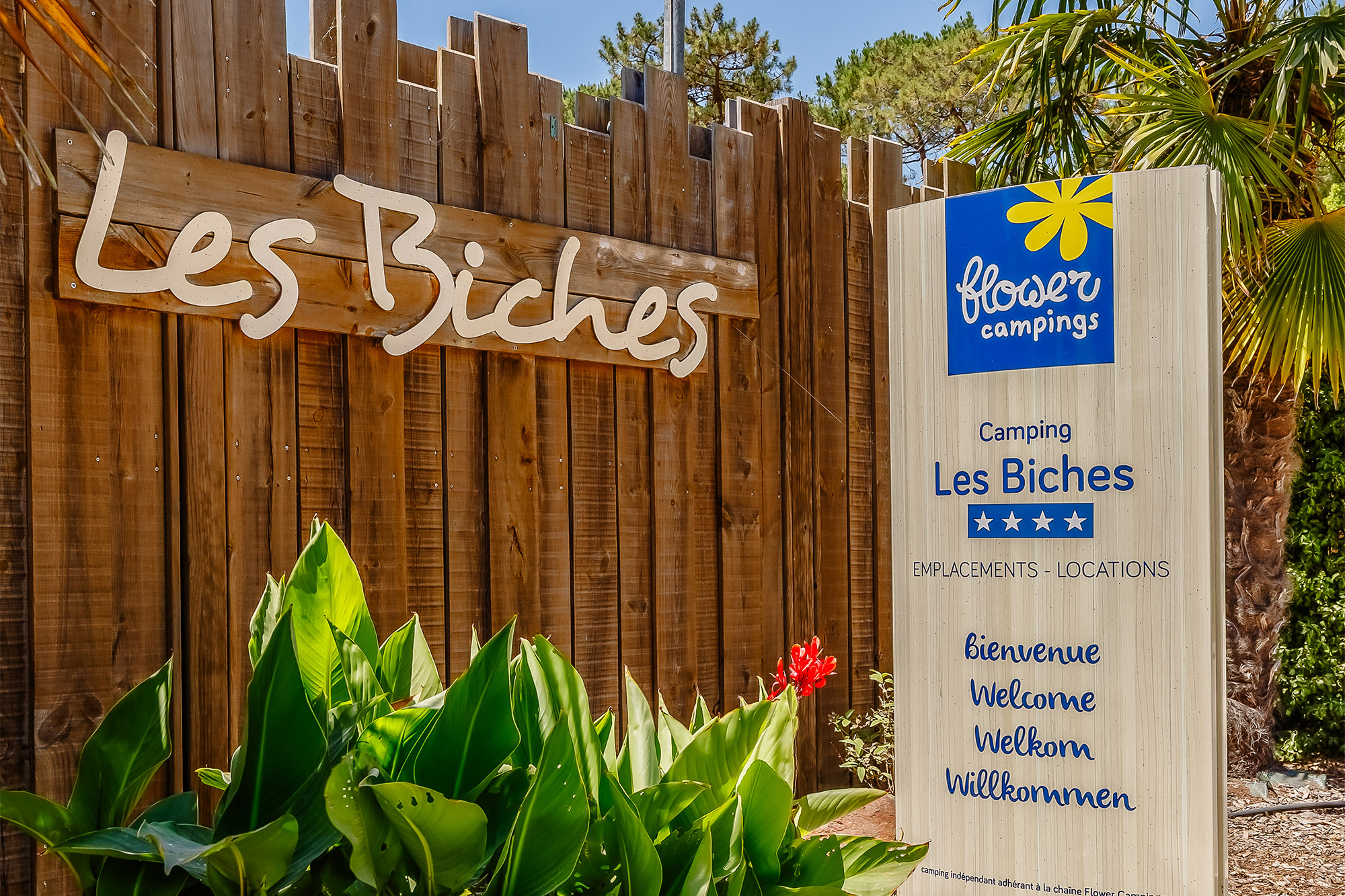 decouvrez les nouveautes de votre programme de fidelite flower en 2025