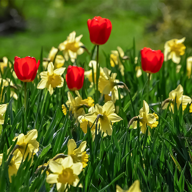 tourisme vendee top jardins vendee