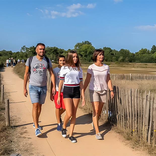 corniche de sion et les cinq pineaux la balade iconique