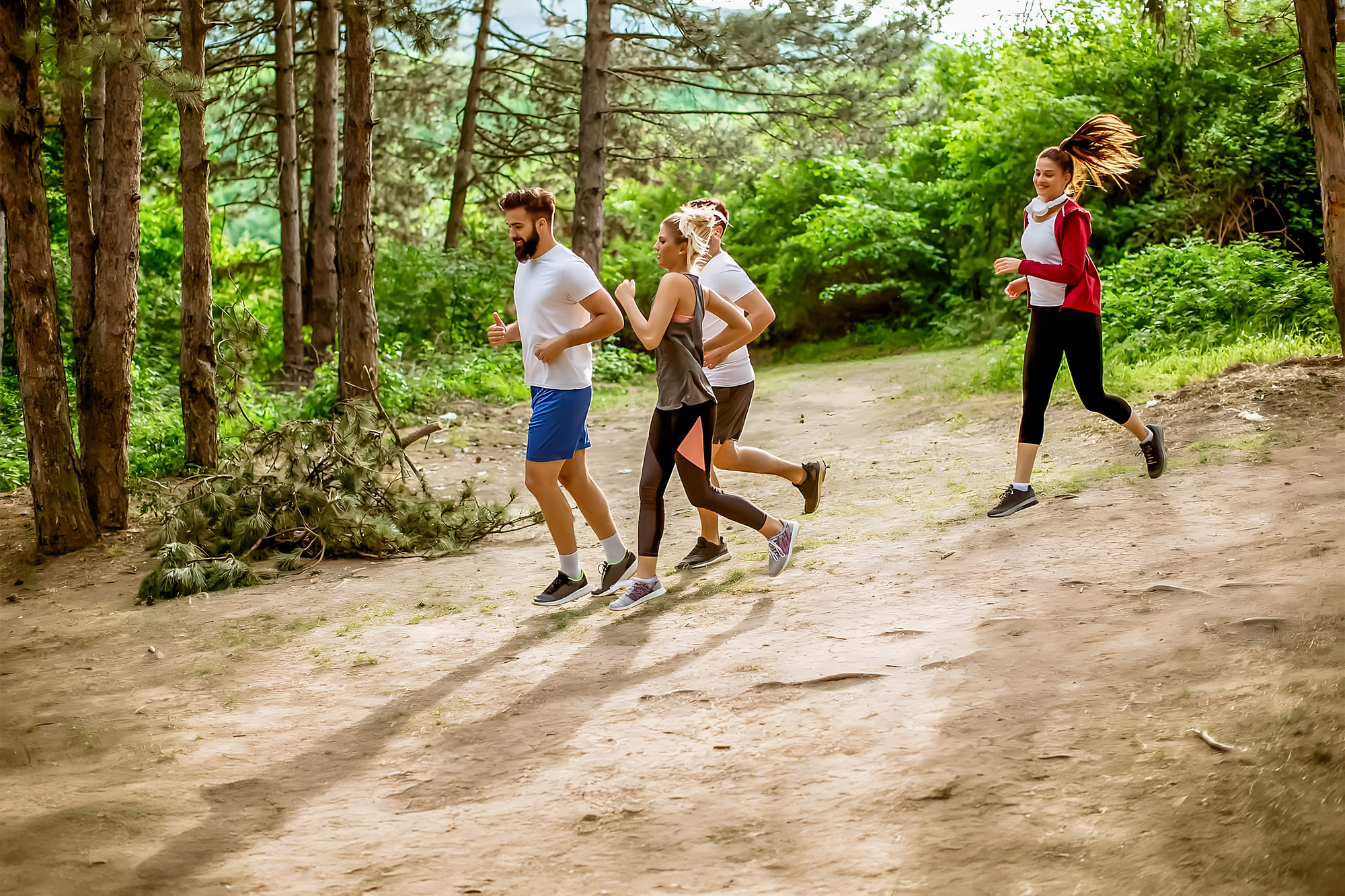 itineraires de trail running dans la foret des pays de monts