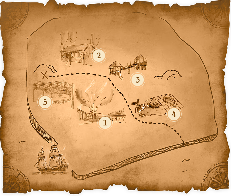 carte des animations