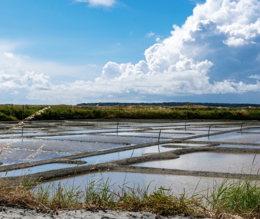 marais salants