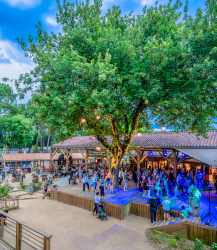 Place du vieux chêne