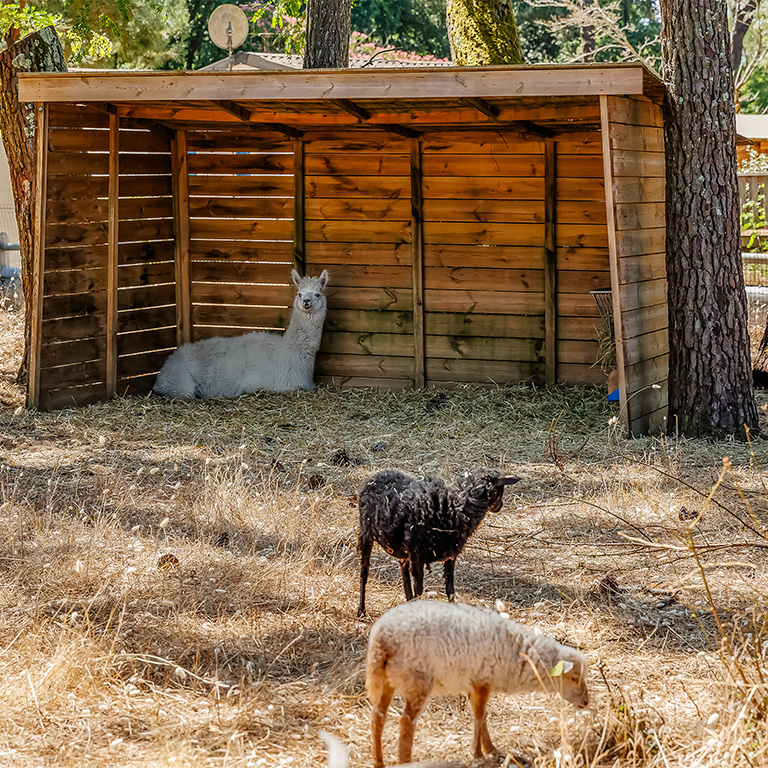 bel environnement nature