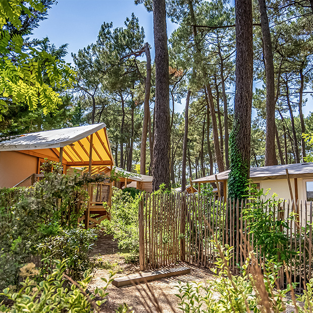 camping quartier lodges vendee