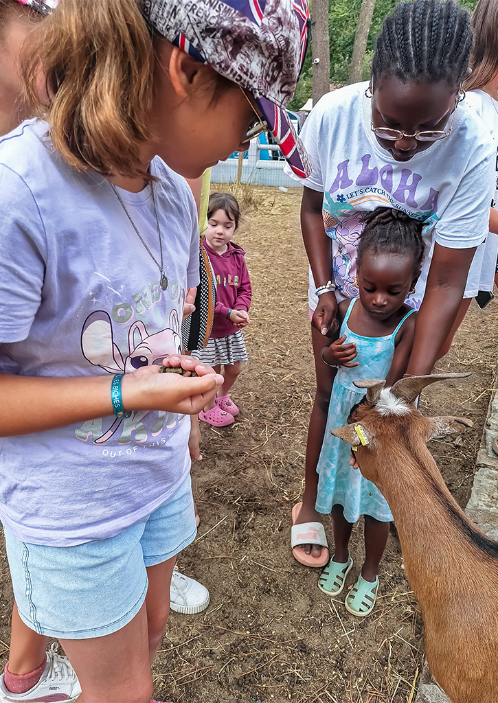des activites educatives pour toute la famille