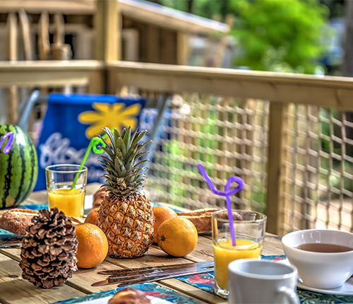 experience unique dans des cabanes