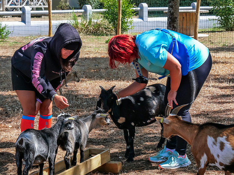 mini ferme educative