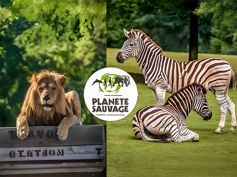 planete sauvage