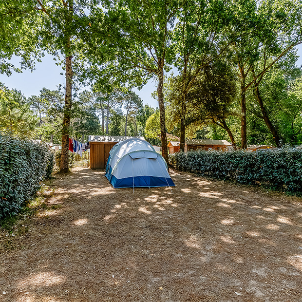 preservons ensemble notre environnement