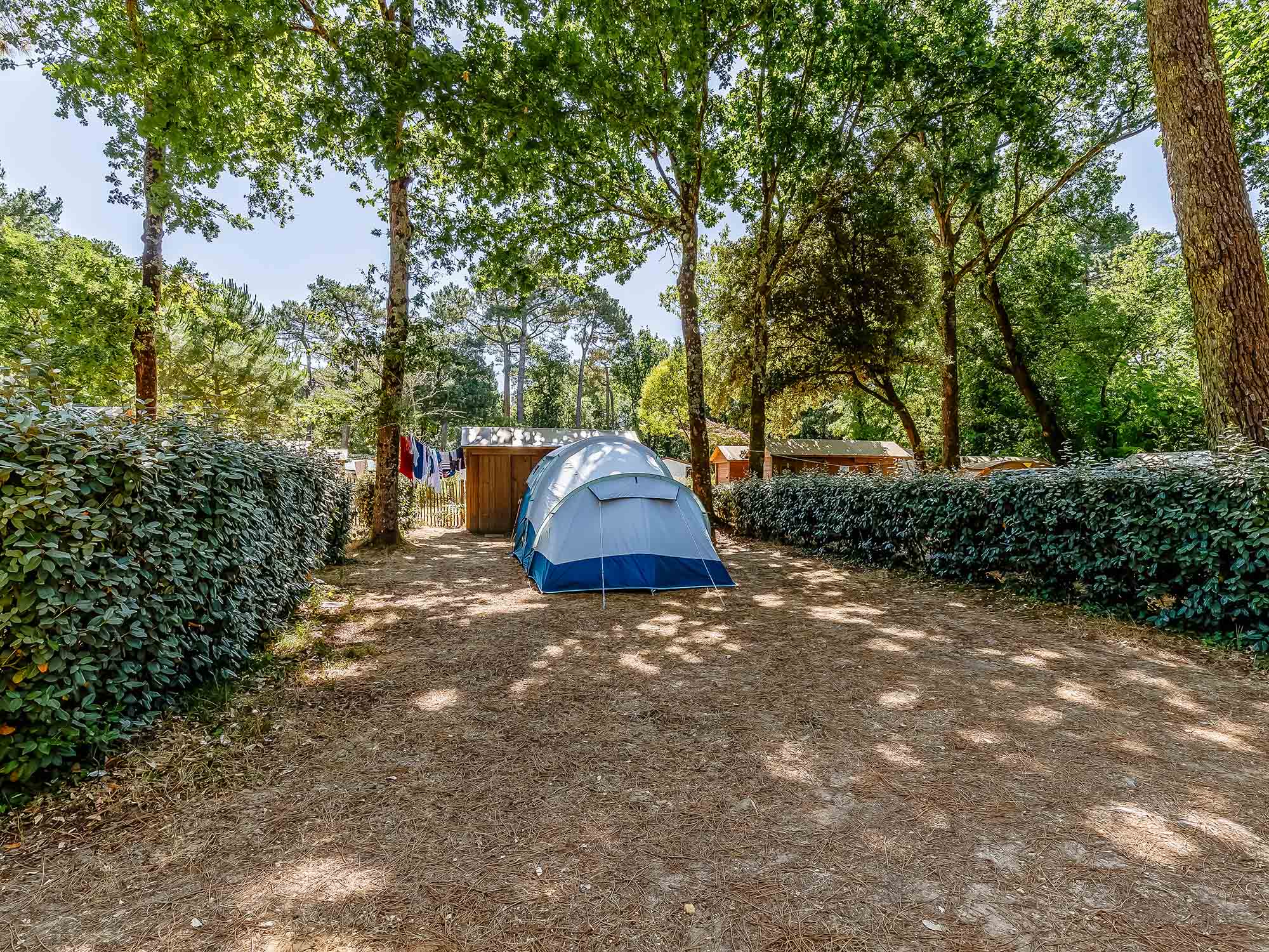 preservons ensemble notre environnement