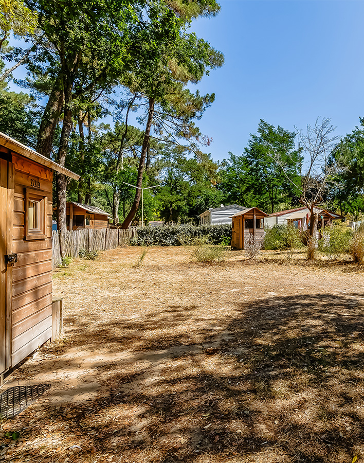 prix mini et avantages acsi